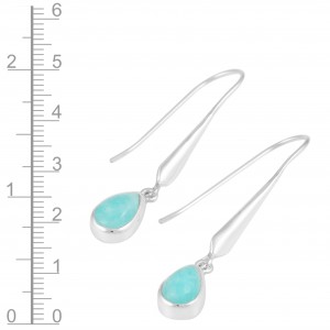 Amazonite Earrings