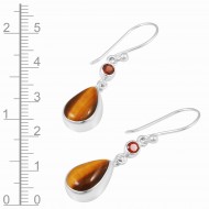 Tigereye & Garnet Earrings