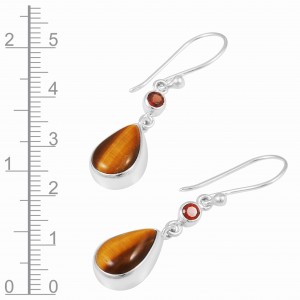 Tigereye & Garnet Earrings