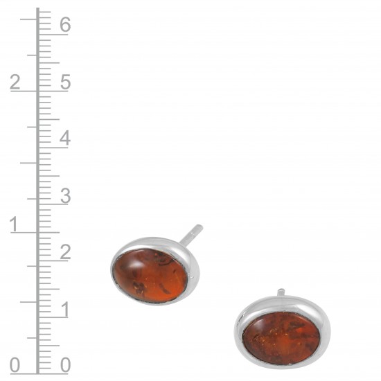 Amber Earrings Amber Earrings
