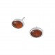 Amber Earrings Amber Earrings