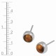 Tigereye Earrings Tigereye Earrings