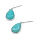 Amazonite Earrings