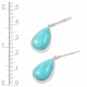 Amazonite Earrings