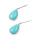 Amazonite Earrings Amazonite Earrings