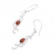 Garnet Earrings Garnet Earrings