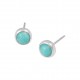 Amazonite Earrings Amazonite Earrings