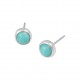 Amazonite Earrings