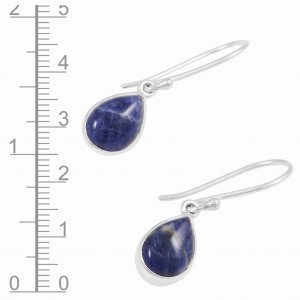 Sodalite Earrings Sodalite Earrings