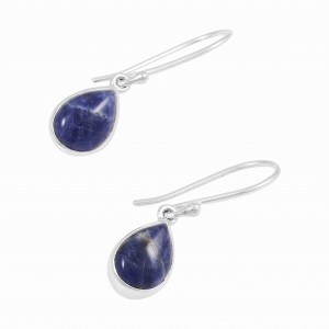 Sodalite Earrings