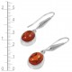 Amber Earrings Amber Earrings