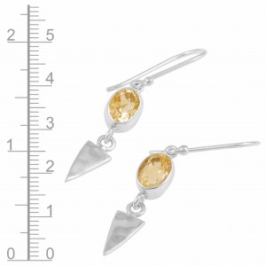 Citrine Earrings