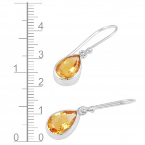 Citrine Earrings