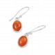 Amber Earrings Amber Earrings