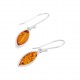 Amber Earrings Amber Earrings