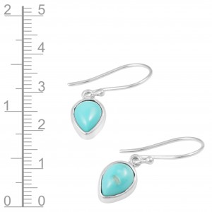 Turquoise Earrings