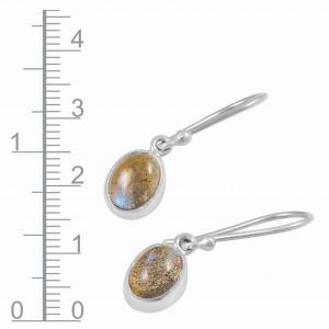 Labradorite Earrings
