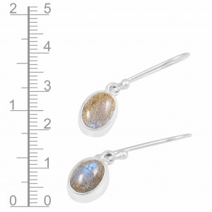 Labradorite Earrings