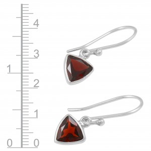 Garnet Earrings