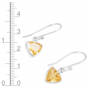 Citrine Earrings