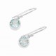 Blue Topaz Earrings Blue Topaz Earrings