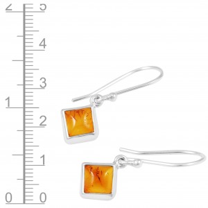 Amber Earrings