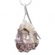 Lepidolite Pendant Lepidolite Pendant