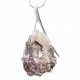 Lepidolite Pendant