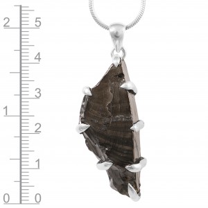 Shungite (Elite)  Pendant