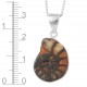 Ammonite Pendant