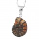 Ammonite Pendant