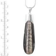 Orthoceras Fossil Pendant 