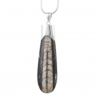 Orthoceras Fossil Pendant 