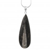 Orthoceras Fossil Pendant 
