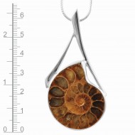 Ammonite Pendant
