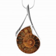 Ammonite Pendant