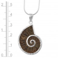 Ammonite Pendant