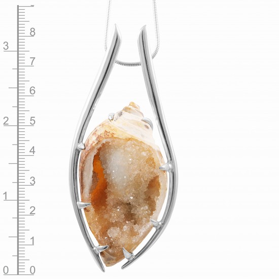 Spiralite Fossil Shell Pendant Spiralite Fossil Shell Pendant