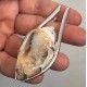 Spiralite Fossil Shell Pendant