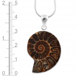 Ammonite Pendant