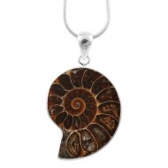 Ammonite Pendant