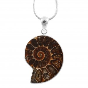Ammonite Pendant