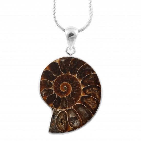 Ammonite Pendant Ammonite Pendant