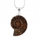 Ammonite Pendant Ammonite Pendant
