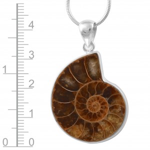 Ammonite Pendant