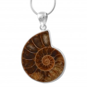 Ammonite Pendant