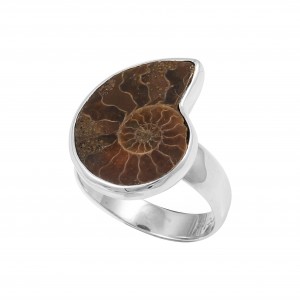 Ammonite Ring