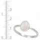 Rainbow Moonstone Ring Rainbow Moonstone Ring