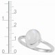 Rainbow Moonstone Ring Rainbow Moonstone Ring