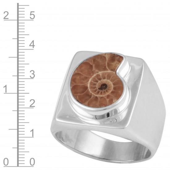 Ammonite Men's Ring